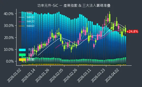 功率元件-SiC 法人籌碼