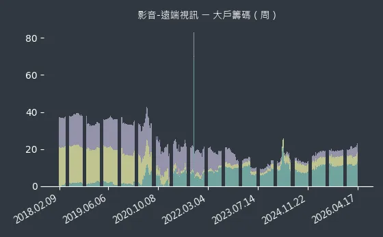 影音-遠端視訊 大戶籌碼