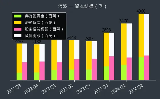 6248 沛波 資本結構