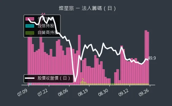 2719 燦星旅 法人籌碼