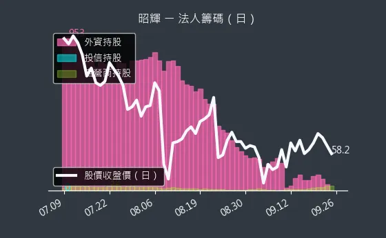 1339 昭輝 法人籌碼