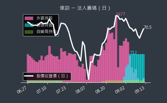 3032 偉訓 法人籌碼