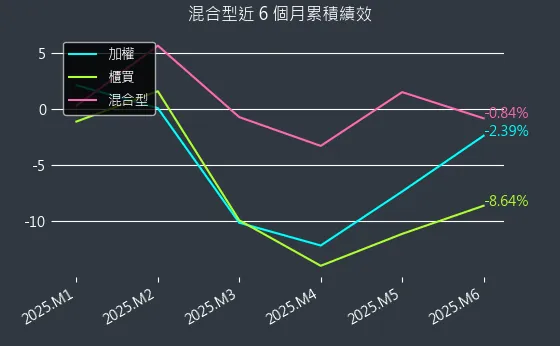 混合型近 6 個月累積績效