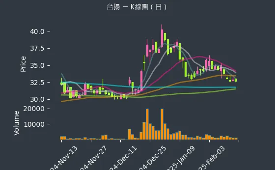 2314 台揚 K線圖（日）