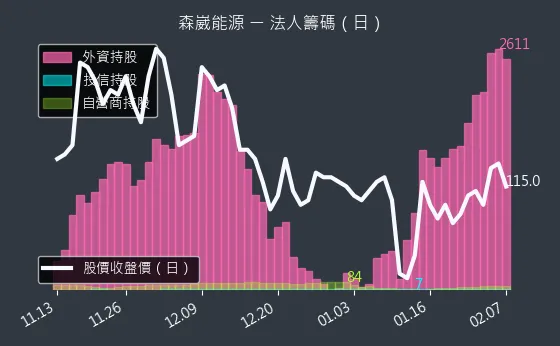 6806 森崴能源 法人籌碼