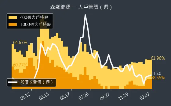 6806 森崴能源 大戶籌碼