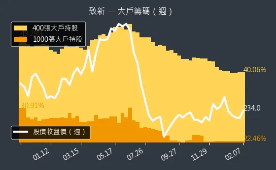 8081 致新 大戶籌碼