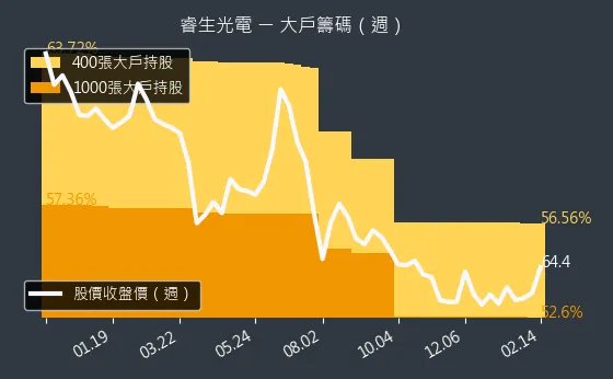 6861 睿生光電 大戶籌碼