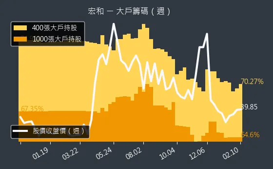 1446 宏和 大戶籌碼