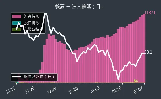 2402 毅嘉 法人籌碼