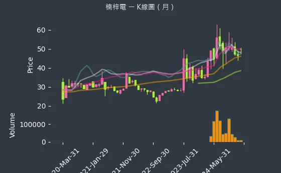 2316 楠梓電 K線圖（月）