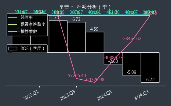 2528 皇普 杜邦分析