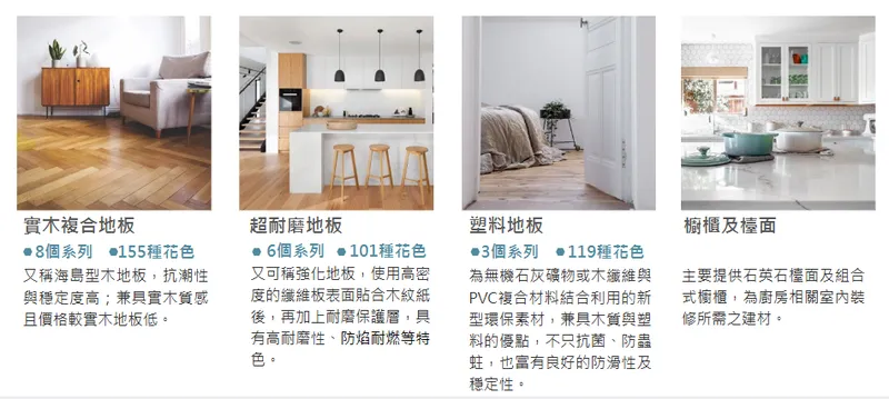 寶陞國際主要產品