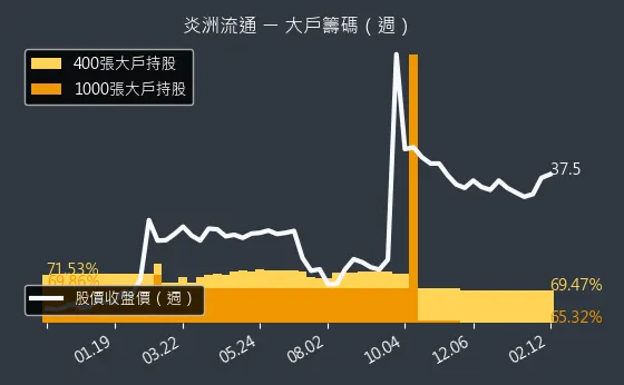 3171 炎洲流通 大戶籌碼