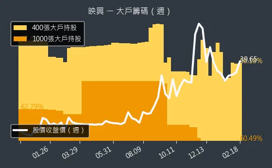 3597 映興 大戶籌碼