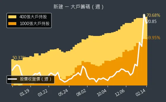 2516 新建 大戶籌碼