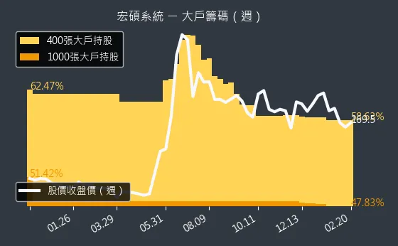 6895 宏碩系統 大戶籌碼