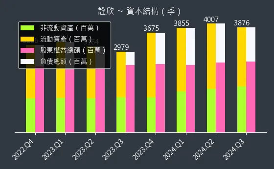 6205 詮欣 資本結構