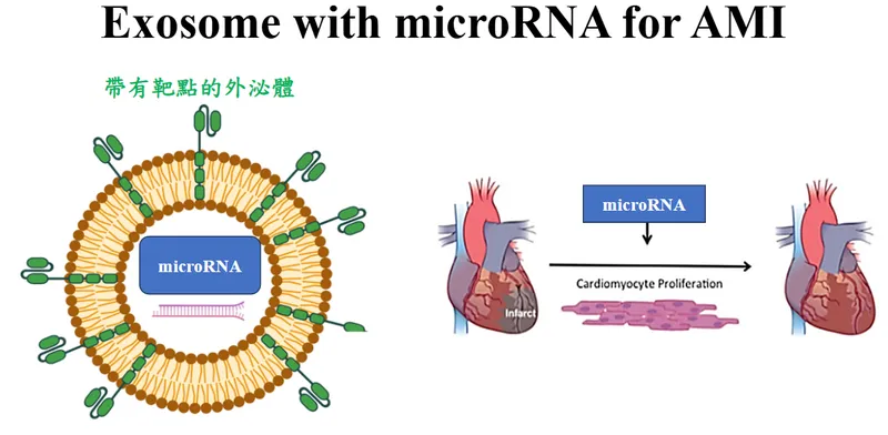 長聖帶有靶點 EXOSOME