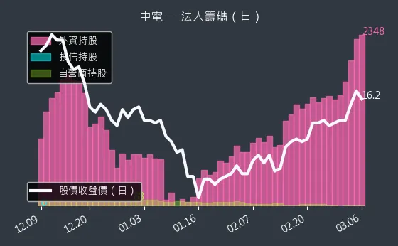 1611 中電 法人籌碼