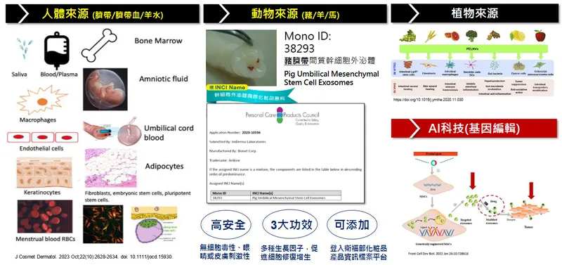 訊聯外泌體多元化來源，迅速拓展國內外市場