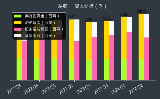 6146 耕興 資本結構