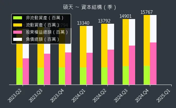 3617 碩天 資本結構