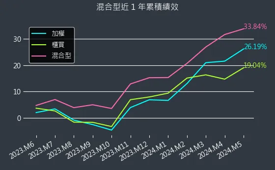 混合型近 1 年累積績效