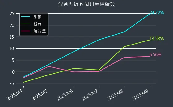 混合型近 6 個月累積績效