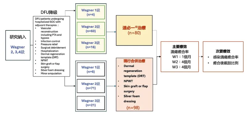 合一生技藥品研究流程
