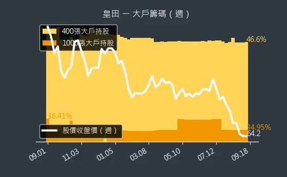 9951 皇田 大戶籌碼