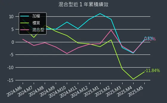 混合型近 1 年累積績效