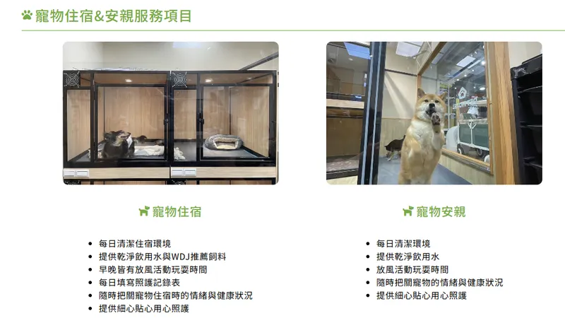 萬達寵物寵物住宿與安親服務項目
