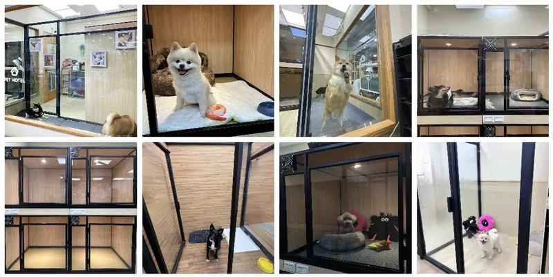 萬達寵物寵物住宿&安親服務環境實拍