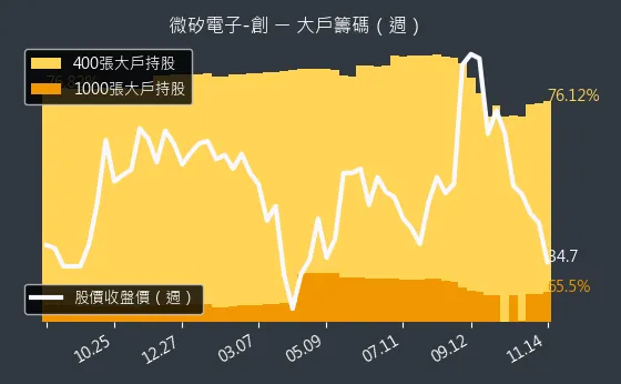 8162 微矽電子-創 大戶持股變動、集保戶變化