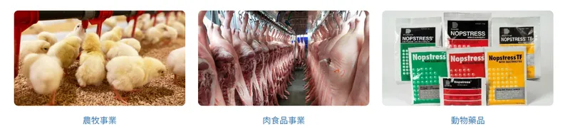 台灣卜蜂企業公司三大事業體