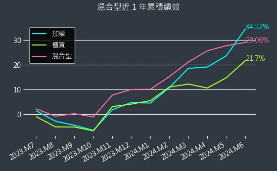 混合型近 1 年累積績效