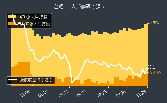 4746 台耀 大戶持股變動、集保戶變化